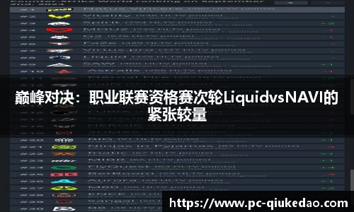 巅峰对决：职业联赛资格赛次轮LiquidvsNAVI的紧张较量